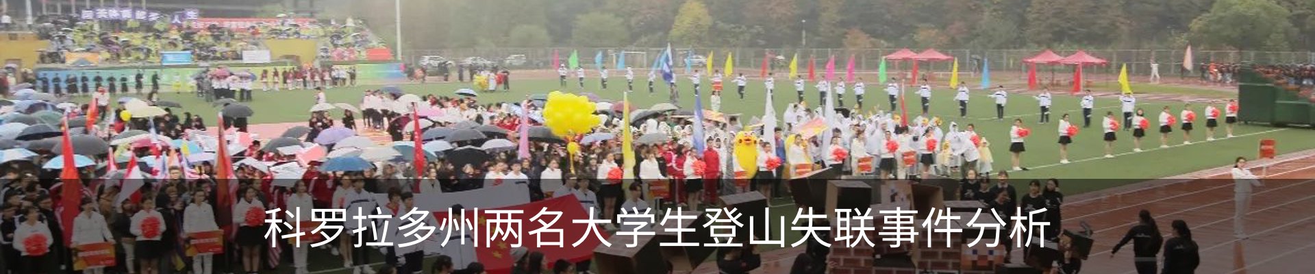 新闻动态